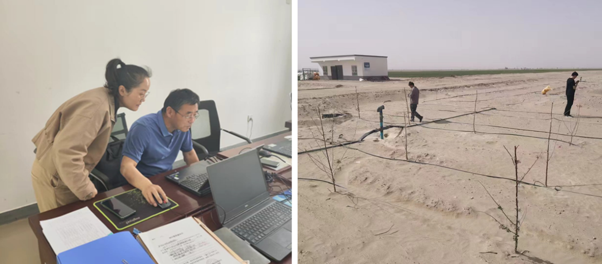 我院全面启动新疆生产建设兵团森林植被恢复费实效评估.png